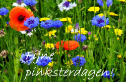 Pinksteren 2019! Alle locaties van Houwer & Ruijs zijn dan gesloten.